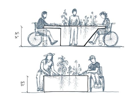 Designing Gardens Accessible to All - Ecological Landscape Alliance - Seated Access Planters Healing Garden Design, Ecological Landscape, Social Housing Architecture, In Praise Of Shadows, Plant Types, Rachel Lindsay, Ecology Design, Landscape Architecture Drawing, Benefits Of Gardening