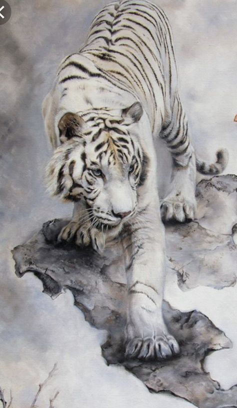 White Tiger Tattoo Men, White Tiger Drawing, Chinese White Tiger, White Tiger Art Illustration, White Tiger Art, White Tiger Drawing Sketches, White Tiger Painting, Snow Tiger Art, White Tiger Tattoo