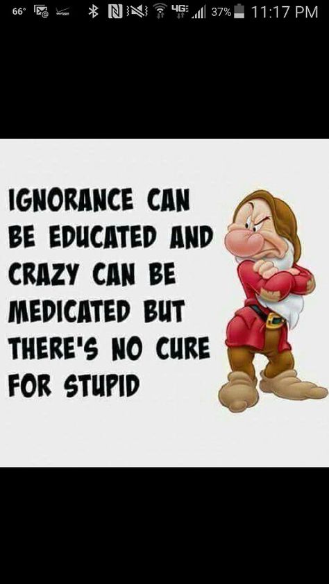 Yep, you can't fix stupid. Humor Quotes, I Dont Understand, Random Quotes, Funny Pics, You Funny, Understanding Yourself, Wisdom Quotes, Funny Stuff, Make You Feel