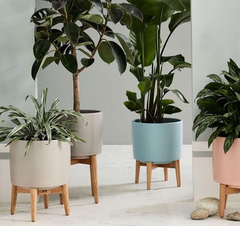 New colours: Mid-Century Turned Leg Standing Planters at West Elm West Elm Planter, Standing Planters, Ceramic Wall Planters, Mid Century Planter, Support Pour Plante, Farmhouse Side Table, Planter Stand, Turned Leg, Plant Stands