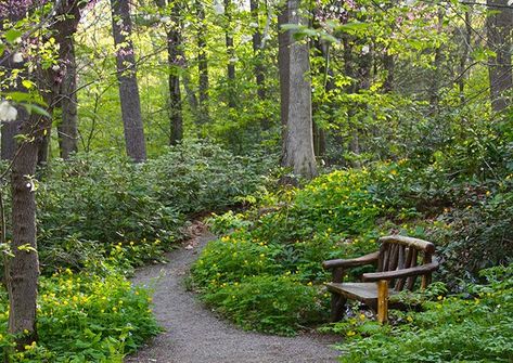 Garden In Woods, Framingham Massachusetts, Woodland Garden, Garden In The Woods, Garden Tours, Plant Sale, Animal House, Family Activities, Native Plants