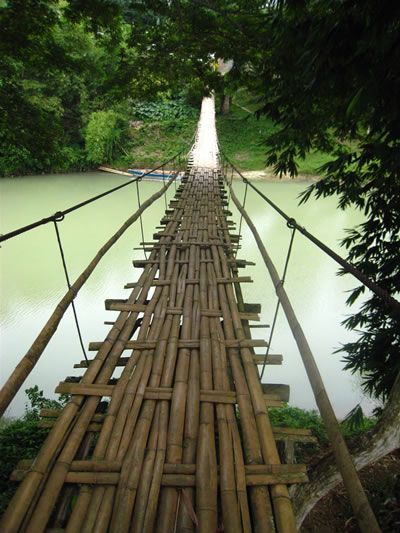 thats some bridge Bridge Over Water, Bamboo Bridge, Walking Bridge, Bamboo Diy, Bamboo Building, Swinging Bridge, Bamboo House Design, Bridge Construction, Bamboo Structure