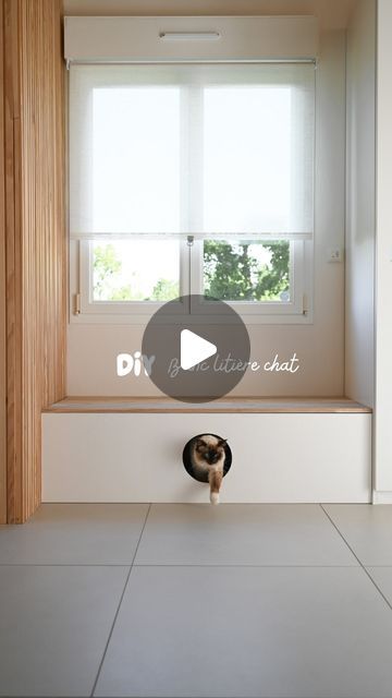 Cécile Bruneau | DIY & Déco on Instagram: "DIY Banc litière 🐈   ⭐️ Difficulté : Débutant 💰 ~ 150 €  Ce soir, je te partage mon dernier projet DIY : un banc pour la maison ! En combinant deux caissons de chez @ikeafrance j’ai créé un espace confortable pour s’asseoir tout en cachant la litière et le panier de notre chat 🐈 . Un meuble pratique et esthétique ! ✨  Et voilà, avec quelques outils et un peu de créativité, le résultat ! Si vous souhaitez reproduire ce projet chez vous, n’hésitez pas à consulter la vidéo pour voir toutes les étapes détaillées.   N’oublie pas de liker, partager et me faire savoir dans les commentaires si tu as aimé ce DIY ! 🛠️💡  LE MATERIEL : * Planche de médium {1cm d’épaisseur} * Planche Chêne  * 2 caissons Platsa {60x55x40} * Porte chatière  DEJA DANS VOS P Chat Diy, Niche Chat, Diy D, Instagram Diy, Banquette, Diy Lighting