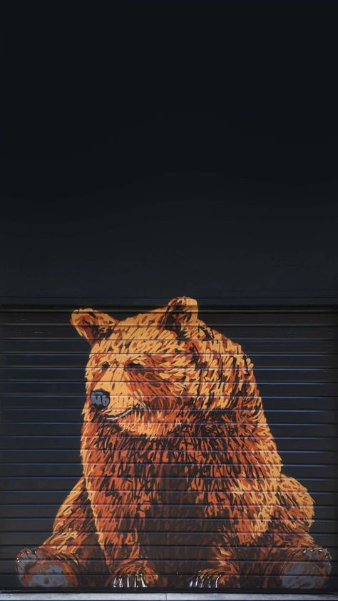 4k Bear Wallpapers - Top Free 4k Bear Backgrounds - WallpaperAccess Bear Iphone Wallpaper, Bear Graffiti, Graphic Projects, Header Pictures, Bear Wallpaper, Cover Pics, Hd Backgrounds, Bird Photo, Free Wallpaper