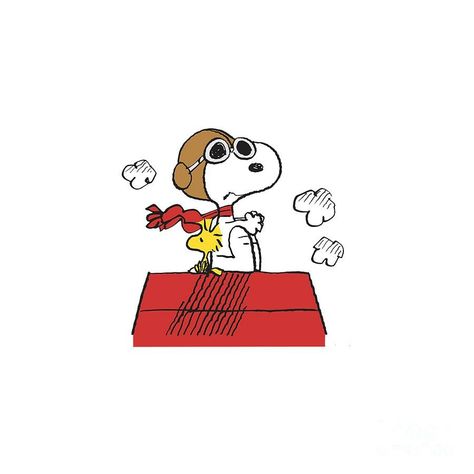 Snoopy Flying A Plane, Snoopy Png Icon, Snoopy Plane, Snoopy Airplane, Pilot Snoopy, Woodstock Flying, Snoopy Widget, Snoopy Costume, Flying Drawing