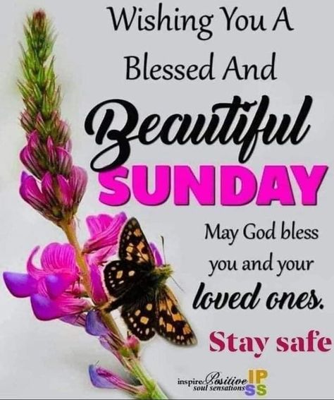 Blessings Sunday, Good Morning Motivational Quotes, Blessed Sunday Morning, Blessed Sunday Quotes, Inspirational Morning Prayers, Quotes Sunday, Happy Sunday Images, Sunday Morning Quotes, Sunday Greetings