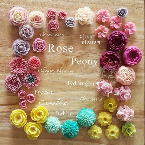 Flower names. #buttercreamflower #butterblossoms #flowercake #flowerinstagram #yunaflower Korean Buttercream Flower, Frosting Flowers, Buttercream Flower Cake, Icing Flowers, Gateaux Cake, Fondant Flowers, Flower Cupcakes, Buttercream Flowers, Flower Names