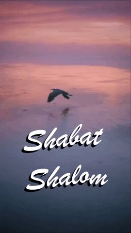 Shabbat Shalom Images Gif, Bon Sabbat, Happy Sabbath Images, Shabbat Shalom Images, Happy Sabbath, Shabbat Shalom, Pool Ideas, Images Gif, Animated Gif