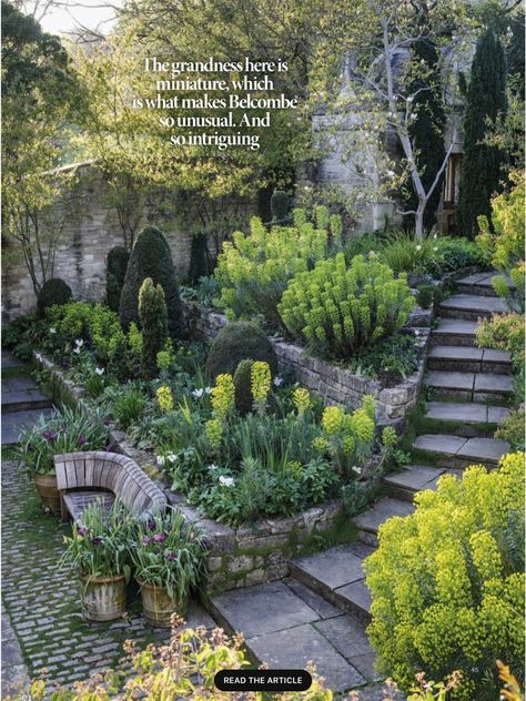 Steep Slope Garden, Terraced Garden Design, Multi Level Garden, Terraced Gardens, Terraced Garden Ideas, Tiered Garden Ideas, Terraced Garden, Steep Gardens, Terraced Backyard