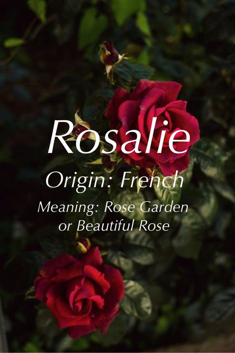 Rosalie Name, Pretty Baby Girl Names, Fantasy Names, Dr Strange, Baby Girl Names, Names With Meaning, Girl Names, First Names, Beautiful Roses