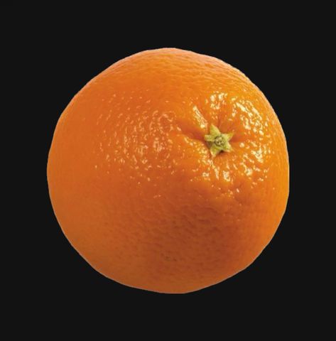 Orange Profile Picture, Round Profile Picture, Round Profile, Playlist Ideas, Profile Pic, Profile Picture, Orange, Quick Saves