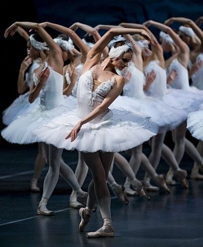 Swan Lake Ballet, Ballet Pictures, Ballet Beauty, Ballet Poses, Ballet Inspiration, Ballet Art, Ballet Photos, Pretty Ballerinas, Shall We Dance