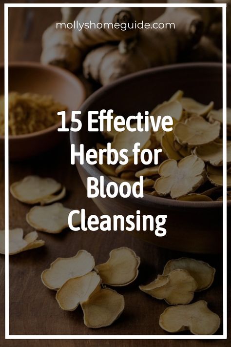 Discover the power of blood cleansing herbs to support your overall health. Explore a variety of natural options, such as Ayurvedic herbs for blood purification, liver cleansing herbs, and blood pressure herbs. Purify your blood and lymphatic system with these detoxification herbs that promote a healthy circulation. Incorporate these powerful plants into your wellness routine to aid in the detox process and enhance your vitality. Blood Detox Cleanse, Herbs For Detoxing, Blood Purifying Herbs, Blood Cleansing Herbs, Herbs To Help With Breathing, Blood Cleansing Juice, Herbs For Blood Pressure, Herbs For Blood Sugar, Jamaican Herbs