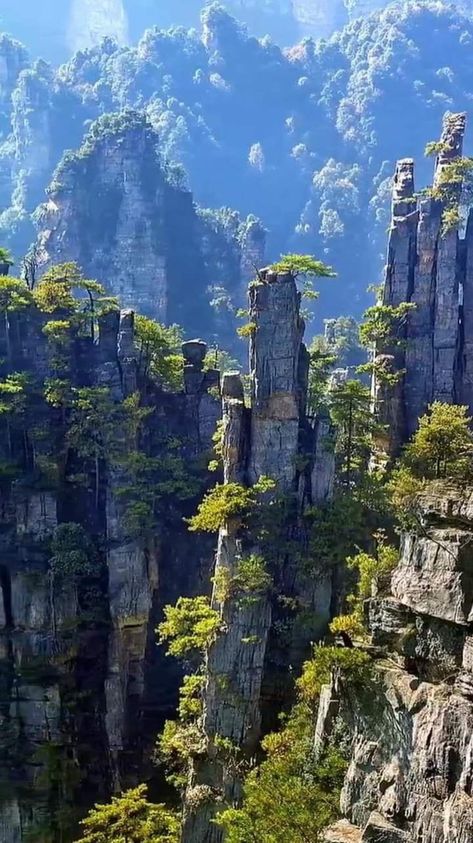 Chinese Mountains, Mountain Trekking, Mountain Trees, Asia Continent, Mountain Landscape Photography, Zhangjiajie, Landscape Reference, Beautiful Landscape Photography, Adventure Aesthetic