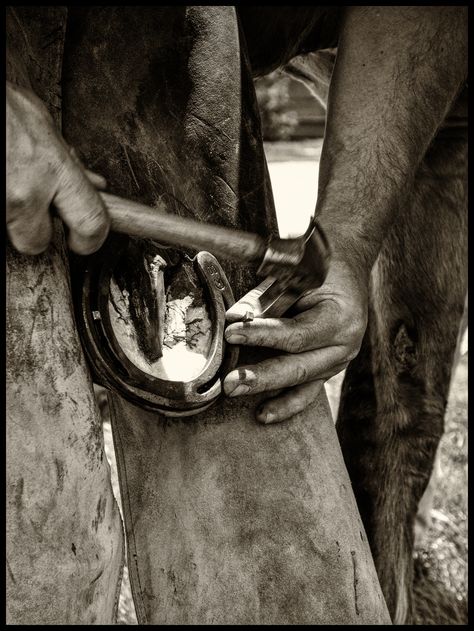 Farrier Photography, Horse Farrier Aesthetic, Horse Farrier, Farrier Aesthetic, Farrier Tools, Cowboy Aesthetic, Horse Riding Tips, Bull Riders, Rodeo Life