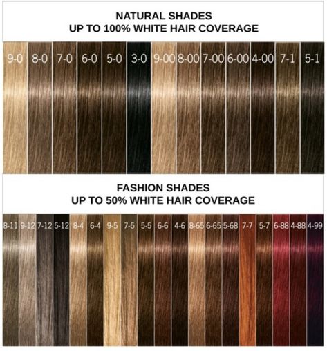 Professional Hair Color Chart, Schwarzkopf Hair Color Chart, Palette Hair Color, Igora Hair Color, Amber Hair Colors, Hair Color For Warm Skin Tones, Brown Hair Color Chart, Schwarzkopf Hair Color, Braids Summer