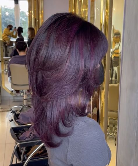 Plum Purple Highlights Brown Hair, Magenta Brunette Hair, Plum Hair Streaks, Violet Hair Ideas, Global Grape Hair, Overtone Purple On Brown Hair, Grape Color Hair, Purple On Brown Hair No Bleach, Purple On Light Brown Hair