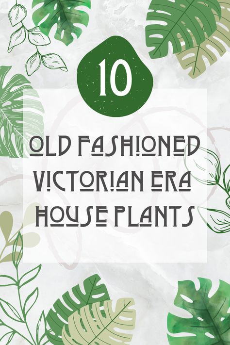 An elegant pin graphic featuring an array of Victorian Era houseplants, including lush ferns, delicate parlor palms, and vibrant flowering plants, displayed in a charming period-style, with the title '10 Old Fashioned Victorian Era Houseplants' overlaying the image. Victorian Plant Room, Victorian Home Garden, Vintage Plant Aesthetic, Victorian Plants, Victorian House Aesthetic, Victorian Decorating Ideas, Victorian Style Decor, Victorian Conservatory, Old Fashioned House