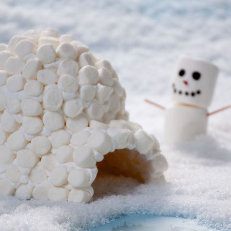 This Frosted Igloo and Snowman recipe is so cute and simple to make too! ⛄️ Marshmallow Snowflakes, Melting Snowman Cookies, Snowflakes Craft, Igloo Craft, Cookies Marshmallow, Snowman Recipes, Bottle Snowman, Happy Home Fairy, Melting Snowman