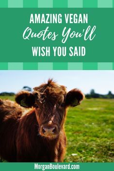 Vegan Quotes Funny, Planets Quote, Famous Vegans, Vegan Facts, How To Become Vegan, Vegan Quotes, Vegan Humor, Vegan Inspiration, Whole Food Diet