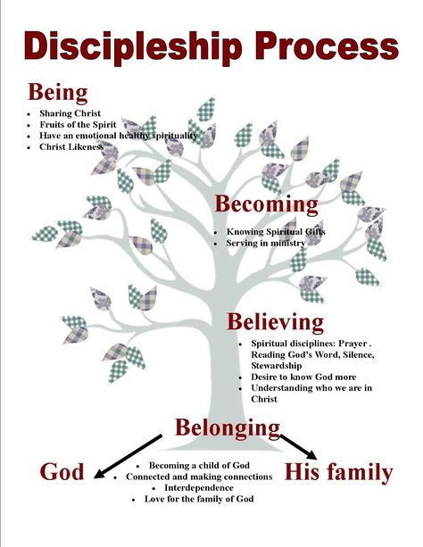 discipleship process - Google Search | Sharing the Gospel ... Discipleship Quotes, Learn The Bible, Study The Bible, Bible Topics, Bible Study Topics, Understanding The Bible, How To Study, Womens Bible Study, Bible Study Notebook