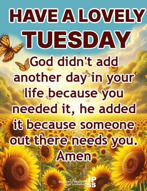 Tuesday Motivation Inspiration Wisdom, Inspire Positive Soul Sensations, Tuesday Blessings, Happy Tuesday Quotes, Monthly Quotes, Tuesday Quotes, Tuesday Motivation, Women's Ministry, Good Morning Inspirational Quotes