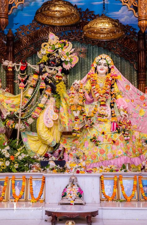 Radha Krishna Mayapur, Krishna Mayapur, Radhakrishna Wallpaper, Krishna Avatar, Radhe Krishna Wallpapers, Shri Ganesh Images, Shree Krishna Wallpapers, Phone Wallpaper Boho, Photo Frame Wallpaper