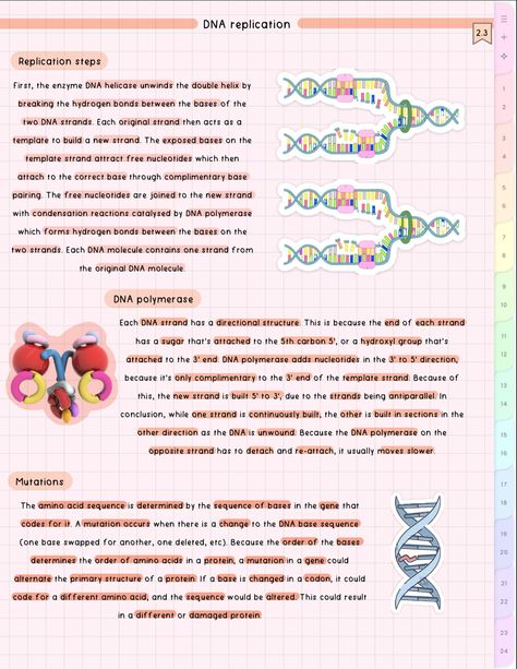 cute aesthetic biology notes Dna Replication Notes, Dna Replication, Cell Biology, Biology Notes, School Notes, Biology, Chemistry, Anatomy, Physics