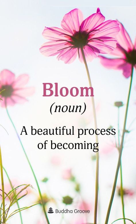 Bloom! – Catherine's Touch Beautiful Flower Quotes, Ftd Flowers, Bloom Quotes, Funny Vine, Floral Quotes, Spring Quotes, Cottage Rose, Garden Quotes, Flower Quotes