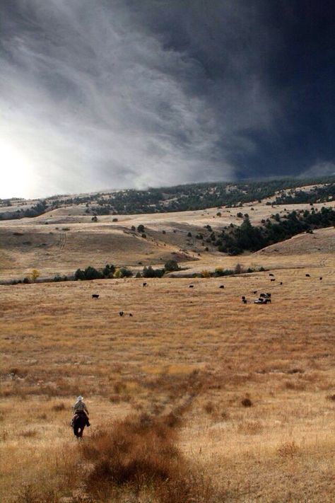 The Great Plains// This summer is going to be amazing. Great Plains, Ranch Life, Old West, The Ranch, A Horse, South Dakota, Country Life, The Great Outdoors, Places To See