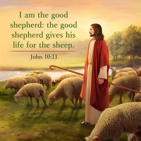 Jesus, the Good Shepherd John 10 11, I Am The Good Shepherd, Jesus The Good Shepherd, Bible Verse For Today, Jesus Christ Painting, Good Shepherd, Encouraging Bible Verses, The Good Shepherd, Bible Words