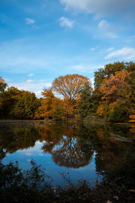 Bondi Aesthetic, Blue Brown Aesthetic, Blue And Brown Aesthetic, Jordans Aesthetic, Prospect Park, Blue River, Mirror Effect, Colorful Trees, Pitch Perfect