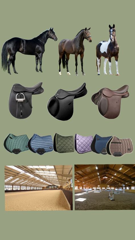 horsesss :D Dressage Tack, Horse Art Drawing, Horse Riding Clothes, Horse Dressage, Star Stable, Horse Accessories, Hunter Jumper, Saddle Pad, Cute Horses