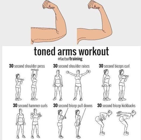 Get Toned Arms, Flabby Arm Workout, Arm Training, Tone Arms Workout, Summer Body Workout Plan, Workout Gym Routine, Gym Workout Plan For Women, Beginner Workouts, Arms Workout