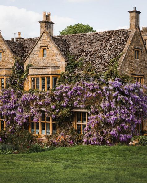 in the faerie forest | feral-rose: florealegiardini: This wisteria... Broadway Cotswolds, Photography Places, Dream Cottage, Art Books, English Cottage, Grand Art, Pretty House, Pretty Places, Dream Home Design