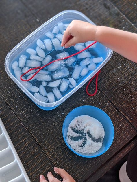 Water Activities Preschool, Fishing Activity, Weather Activities For Kids, Science Experiments Kids Easy, Winter Science Experiments, Polar Bear Craft, Bear Craft, Toddler Games, Winter Science