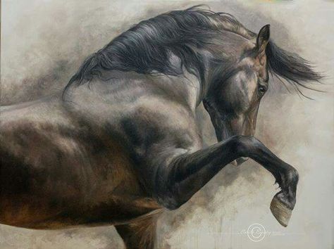 Horse Paradise, Horse Oil Painting, Horse Paintings, Equestrian Art, Horse Portrait, Horse Drawings, Equine Art, Black Horse, Horse Photos