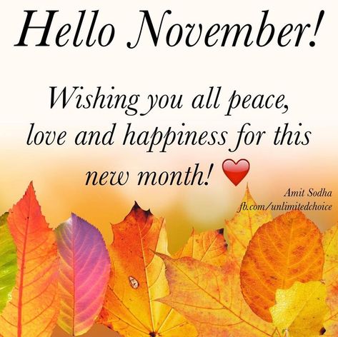 November Wishes, Hello November Quotes, November Hello, November Pictures, Happy New Month Quotes, November Images, New Month Wishes, Hello Quotes, New Month Quotes