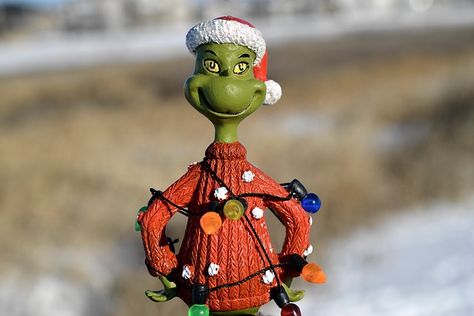 Funny Grinch Jokes for the whole family. Clean jokes about the Grinch Who Stole Christmas. Grinch puns, riddles Grinch Jokes, Christmas Party Games For Kids, Der Grinch, Dr. Seuss, Grinch Party, Best Christmas Movies, Christmas Films, Watch Christmas Movies, Kids Christmas Party