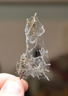 MASSIVE VOODOO: Tutorial - Realistic Spiderwebs Miniature Ghost Diy, D&d Terrain, Realistic Tutorial, Miniature Basing, Model Terrain, Book Frame, Haunted Dollhouse, Miniature Tutorials, Halloween Miniatures