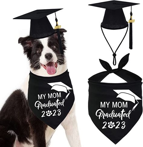 Dog Graduation Cap, Dog Graduation, 2023 Graduation Party, Graduation 2024, Great Graduation Gifts, Graduation Party Supplies, 2024 Graduation, Triangle Scarf, Dog Pin