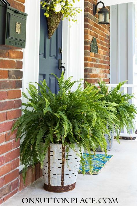 Farmhouse Front Porch Decorating, Farmhouse Front Porch Decor, Spring Front Porch Decor, Porch Diy, Olive Bucket, Front Porch Makeover, Spring Porch Decor, Bucket Planters, Porch Planters