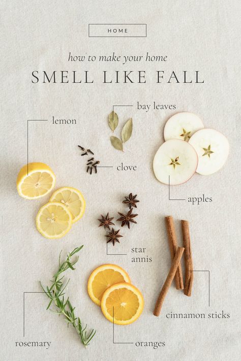 Home Smell Like Fall, Smell Like Fall, Canning Apples, Homemade Potpourri, Simmer Pot Recipes, Stove Top Potpourri, Liver Care, Potpourri Recipes, Simmer Pot