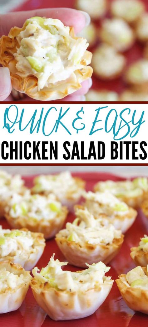 Chicken Salad Bites, Appetizers For Party Bite Size, Chicken Salad Appetizer, Appetizer Chicken, Cold Chicken Salads, Salad Bites, Cold Appetizer, Summer Appetizers Easy, Phyllo Cups