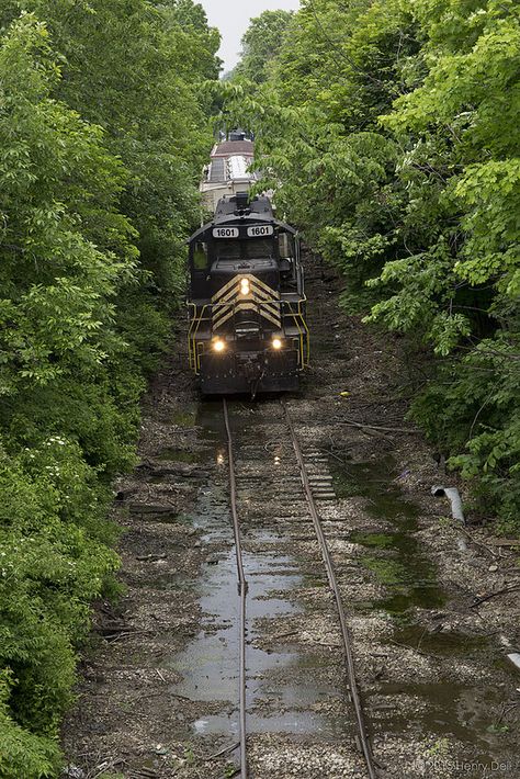 Navigating Through the Jungle | by The Industrial Railfan Railroad Images, Electric Train Sets, Italy Pictures, Abandoned Train, Scenic Railroads, Railroad Pictures, Rail Transport, Take Five, Hazardous Materials