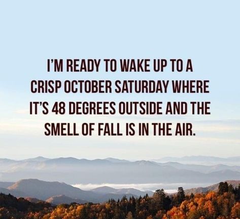 Ready For Fall Weather Quotes, Fall Is Coming Quotes Funny, All Things Fall, Weather Quotes, Fall Is In The Air, Fall Mood Board, Fall Is Coming, I Love Fall, Autumn Magic