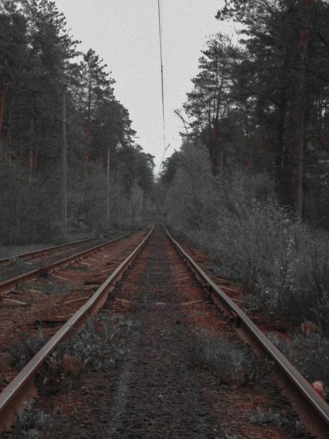 Railroad in the forest Railroad Aesthetic, Trains Aesthetic, Inktober Ideas, Melodrama, Art Photos, In The Forest, Go Fund Me, Stand By Me, Railroad Tracks