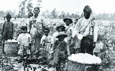 Sven Beckert’s ‘Empire of Cotton’ Traces A Long Legacy Of Misery (my mom picked cotton in Macon, Mississippi) Antebellum South, Cotton Fields, Thomas Jefferson, African History, Us History, Black American, African American History, Black Power, History Facts