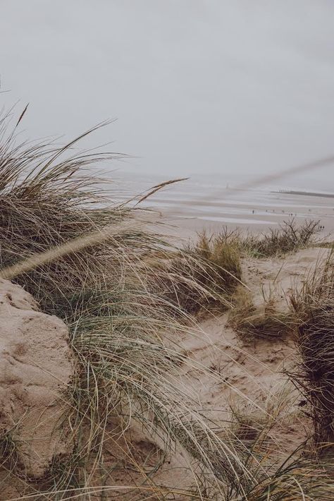 Beautiful dunes and winter beach scape Camber Sands, Winter Beach, Green Beach, Beautiful Destinations, Army Green, Favorite Things, Weddings, Green