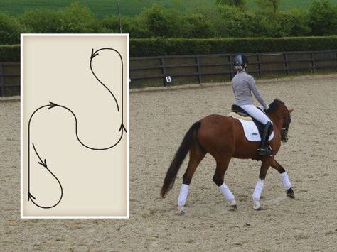 Thirty-minute flatwork exercises | Schooling plans | Horse&Rider Magazine Dressage Exercises, Horse Training Exercises, Horse Lessons, Dressage Training, Horse Exercises, Horse Riding Tips, Equestrian Helmet, Horse Training Tips, Riding Lessons